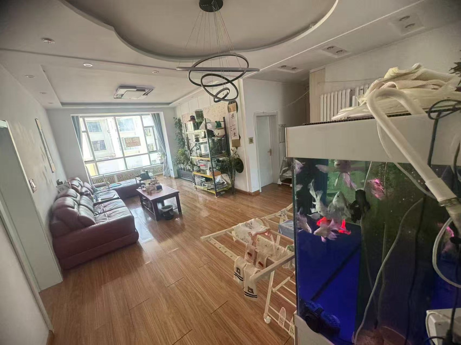 �����_������������